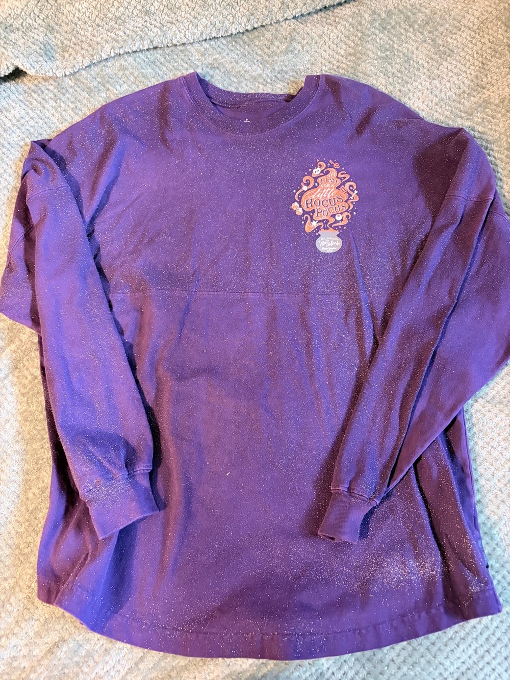 Disney Hocus Pocus Villain Spelltacular 2019 Spirit Jersey, Party Exclusive